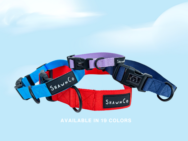 lilac dog collar, bright red dog collar, sky blue dog collar