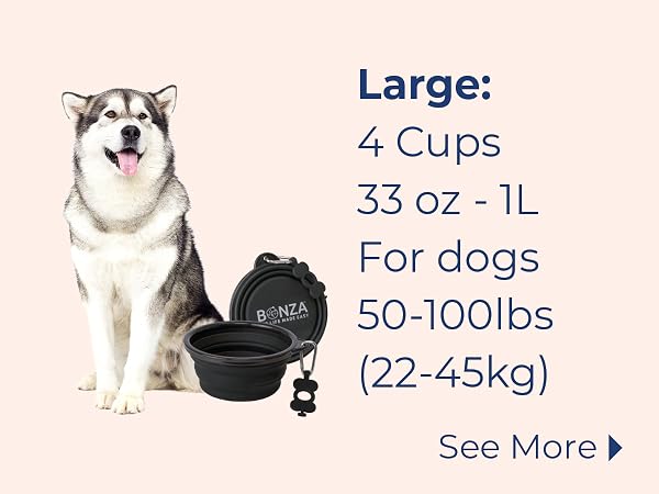 Collapsible Dog Bowl