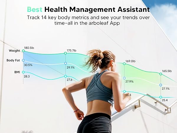 arboleaf body pod scale