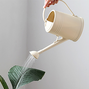 2l