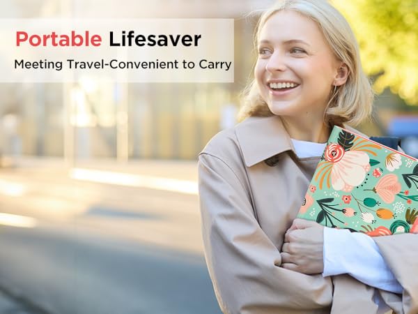 Portable file folder