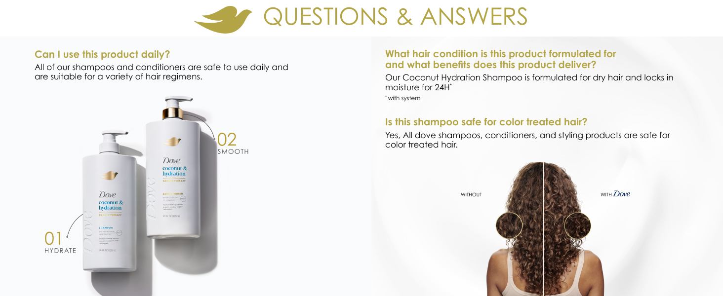 Questions & Answers.