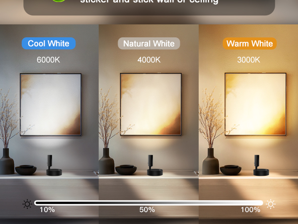 Spotlight indoor with adjustable brigheness and color temperature, and timer function
