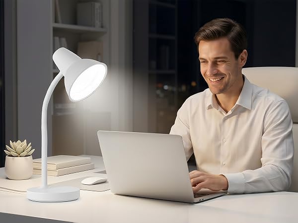 home office LED desk lamp