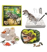 Dinosaur Fossil Digging Kit for Kids, Dinosaur Eggs Excavation Dig Kit, Dinosaur Toys for Kids 5-...