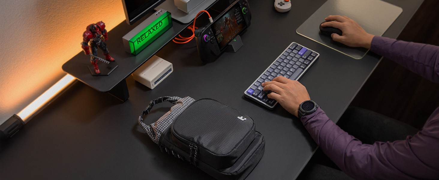 switch 2 bag