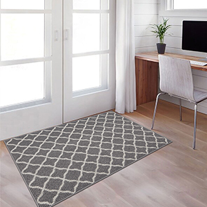 Non Slip large door mat door Rug Dirt Trapper
