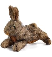 ALL FOR PAWS Squeaky Dog Toys, Dog Stuffed Animal Toys, Plush Toy for Small Medium Large Dogs, Pu...