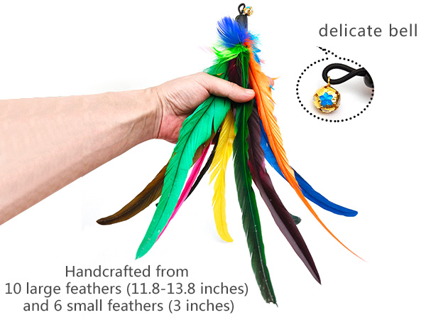 Retractable Cat Wand Toy and Feather Toys 8