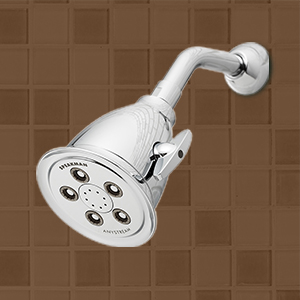 Hotel Showerhead