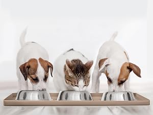 dog supplies food mat deals cat for dogs silicone and water bowl accessories pet stuff boot tray