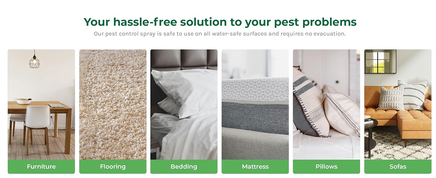 Safe Surfaces
