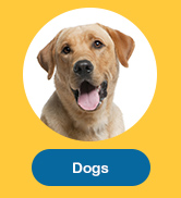 dogs