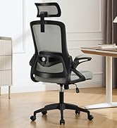 Ergonomic Office Chair