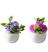 2Pcs Miniature Dollhouse Flowers, Artificial Potted Plants, Fairy Garden Decor for Home, Office, ...