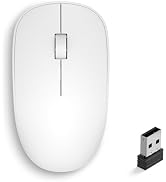 Radidi Wireless Mouse, 2.4GHz Computer Mice with USB Receiver, Portable Wireless USB Mouse Batter...