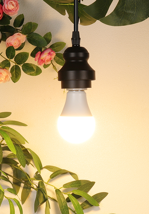 A19 LED Light Bulb