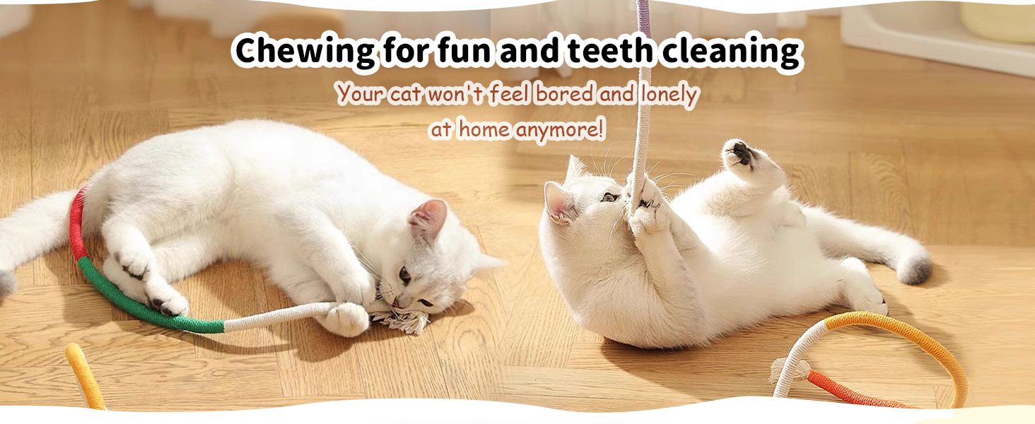 cat ropes