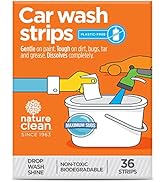 products oxiclean powdered cascadecompleteactionpacsdishwasherdetergent dishwarsher dishwadher