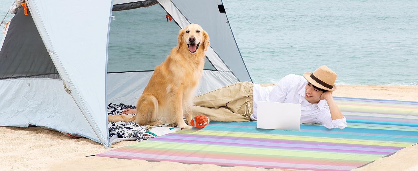 dog beach blanket