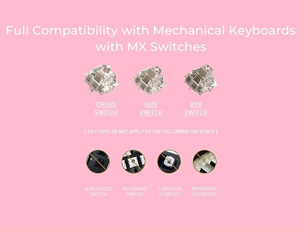 MX Switches