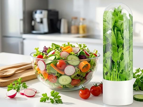 herb containers for refrigerator
