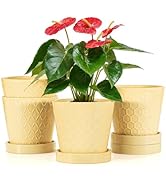 BUYMAX Ceramic Plant Pots –5 inch Indoor Flower Pot with Drainage Hole and Ceramic Tray - Gardeni...