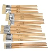 Brush White Bristle Olympia LH CANNISTER Set of 36
