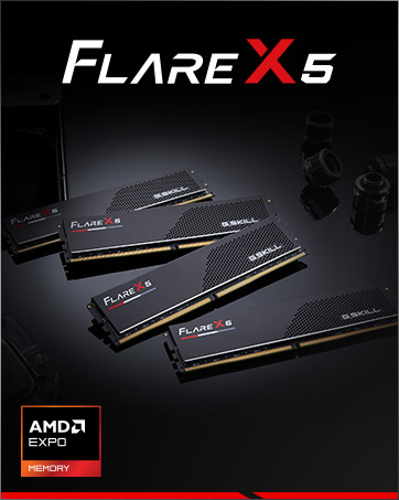 gskill flare x5 amd expo