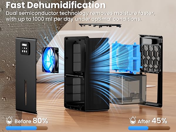 powerful dehumidication