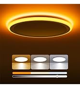 BLNAN 13 Inch Dimmable LED Flush Mount Ceiling Light with Night Light 2000K, 24W 3000K 4000K 5000...