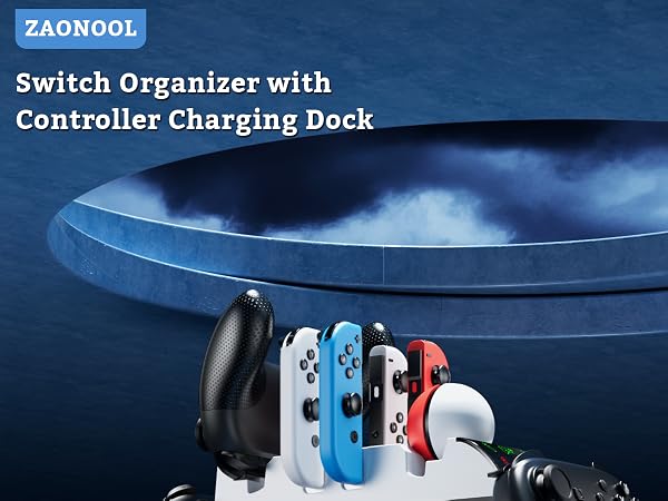 nintendo switch organizer