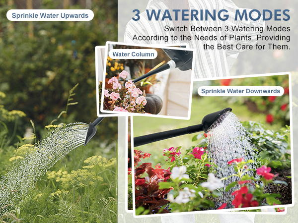 watering can outdoor
