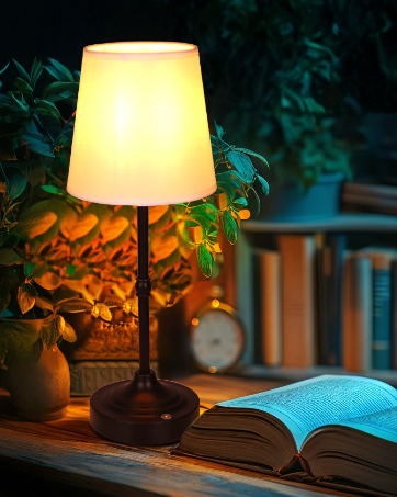 https://m.media-amazon.com/images/S/aplus-media-library-service-media/2927aed3-4752-418f-a114-32a73ba3c3e2.__CR0,0,362,453_PT0_SX362_V1___.jpg