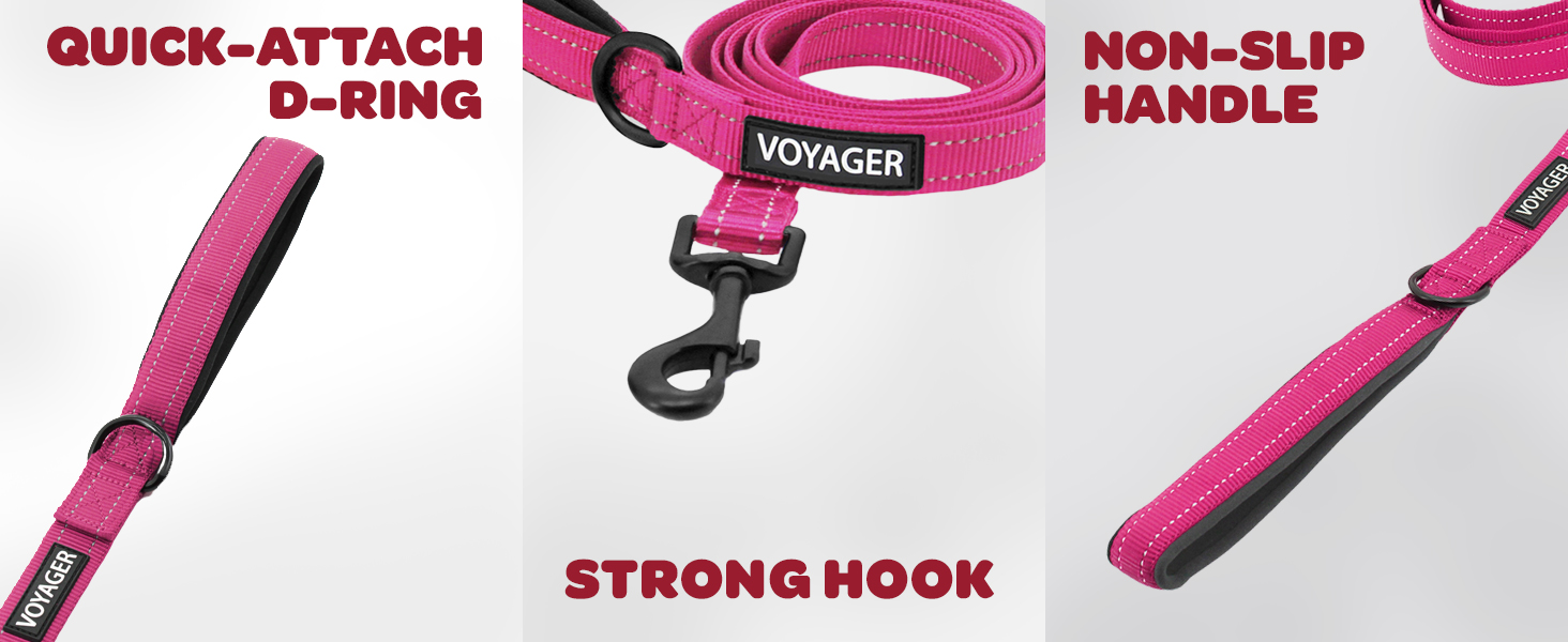 dog accessories