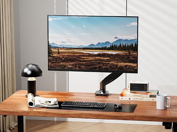 Monitor Arm