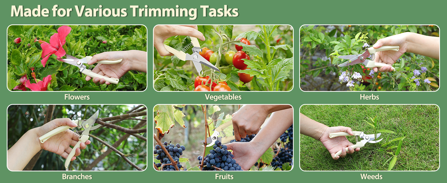 garden shears pruning