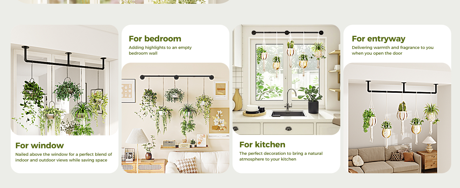 Plant Hanger Indoor