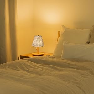 lamps shades for spider fitter