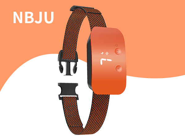 bark collar for dogs