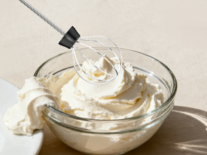 hand frother