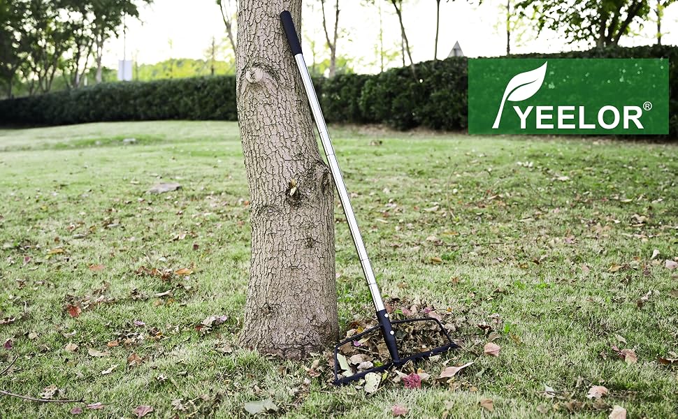 Long Rake