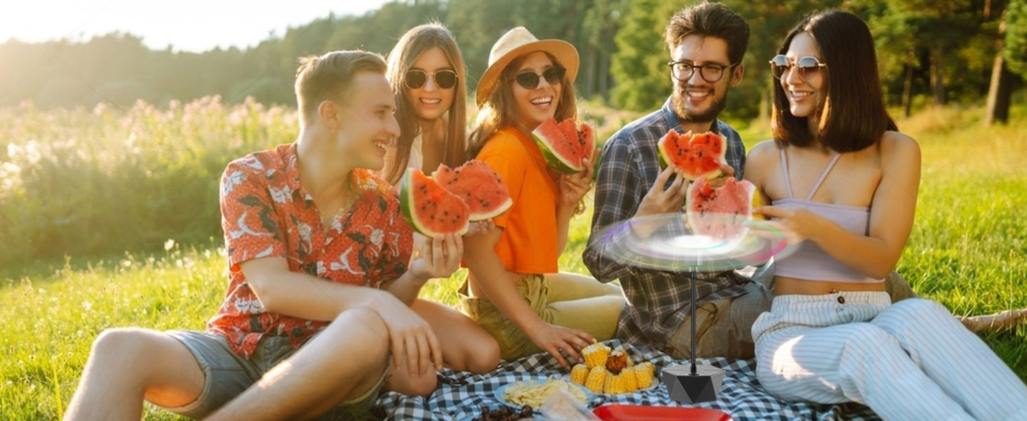 bug fans for food table