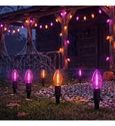 19.5Ft 10 LED C9 Orange and Purple Halloween Pathway Stakes Lights Outdoor | Outdoor Halloween Pa...
