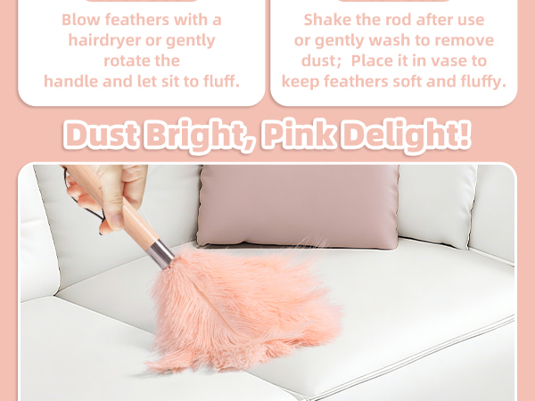 pink ostrich feather