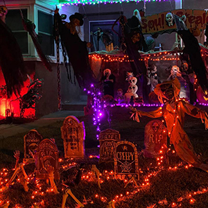 Outdoor Halloween Lights