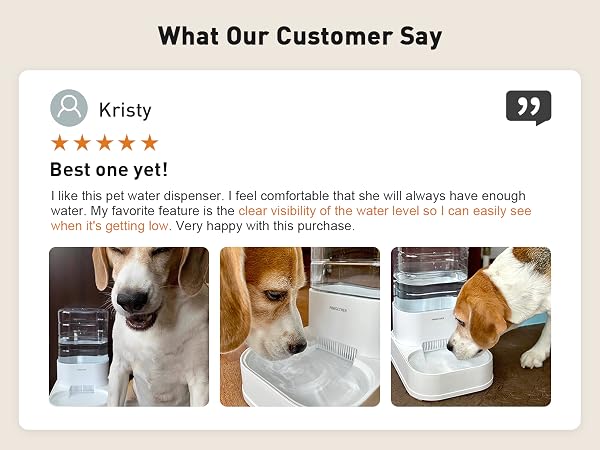 gravity water bowl for dogs
