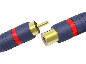 Widely used in audio equipment with 2 RAC plugs