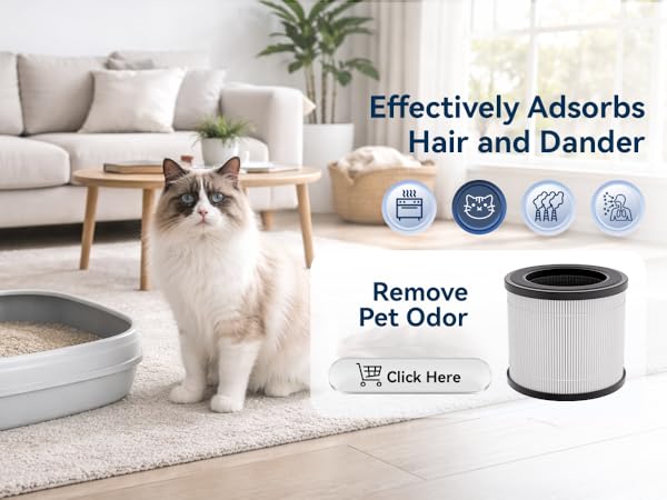 Air Purifiers for Home