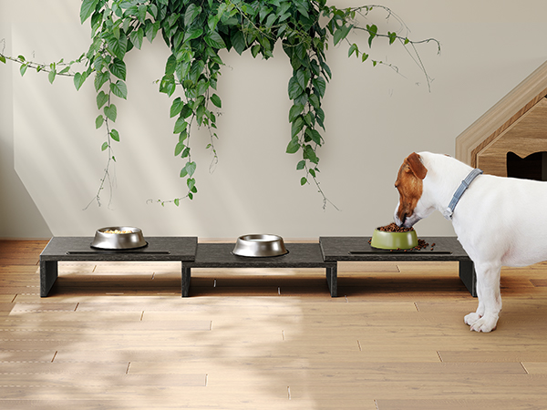 dual monitor stand riser